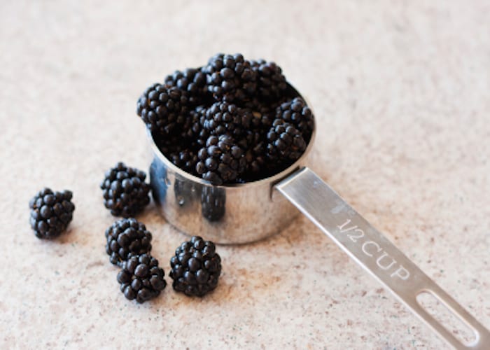 The Dr. Now 1200 Calorie Diet: Can it work for you?