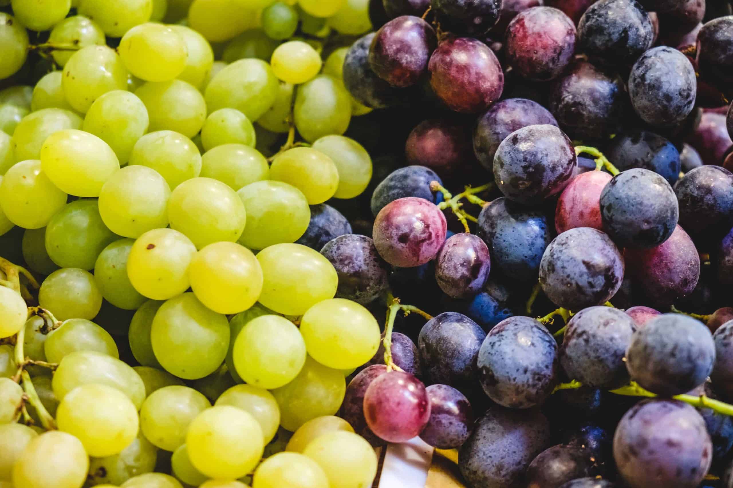 Here’s how many calories grapes have (plus nutrition facts)