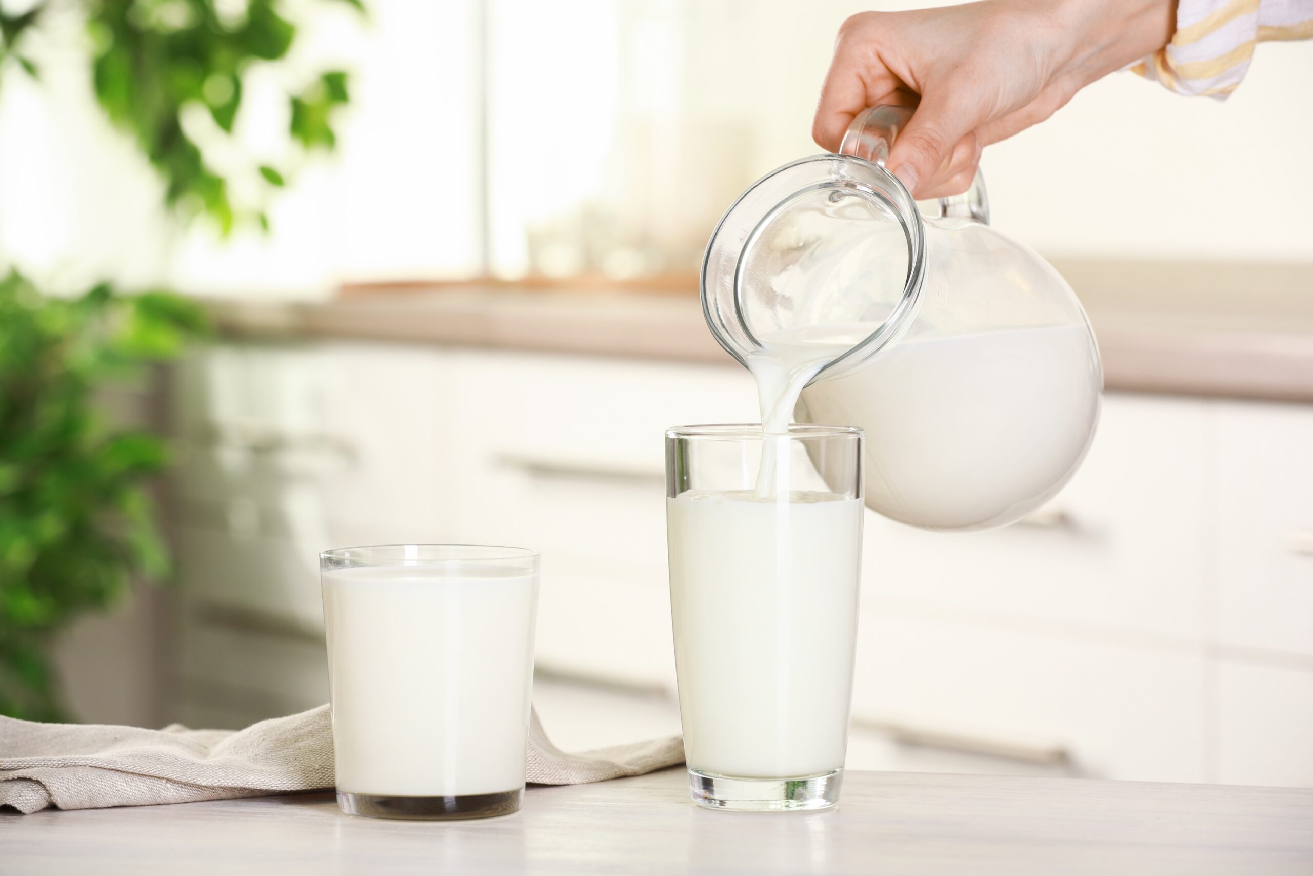 Is milk good for weight loss?