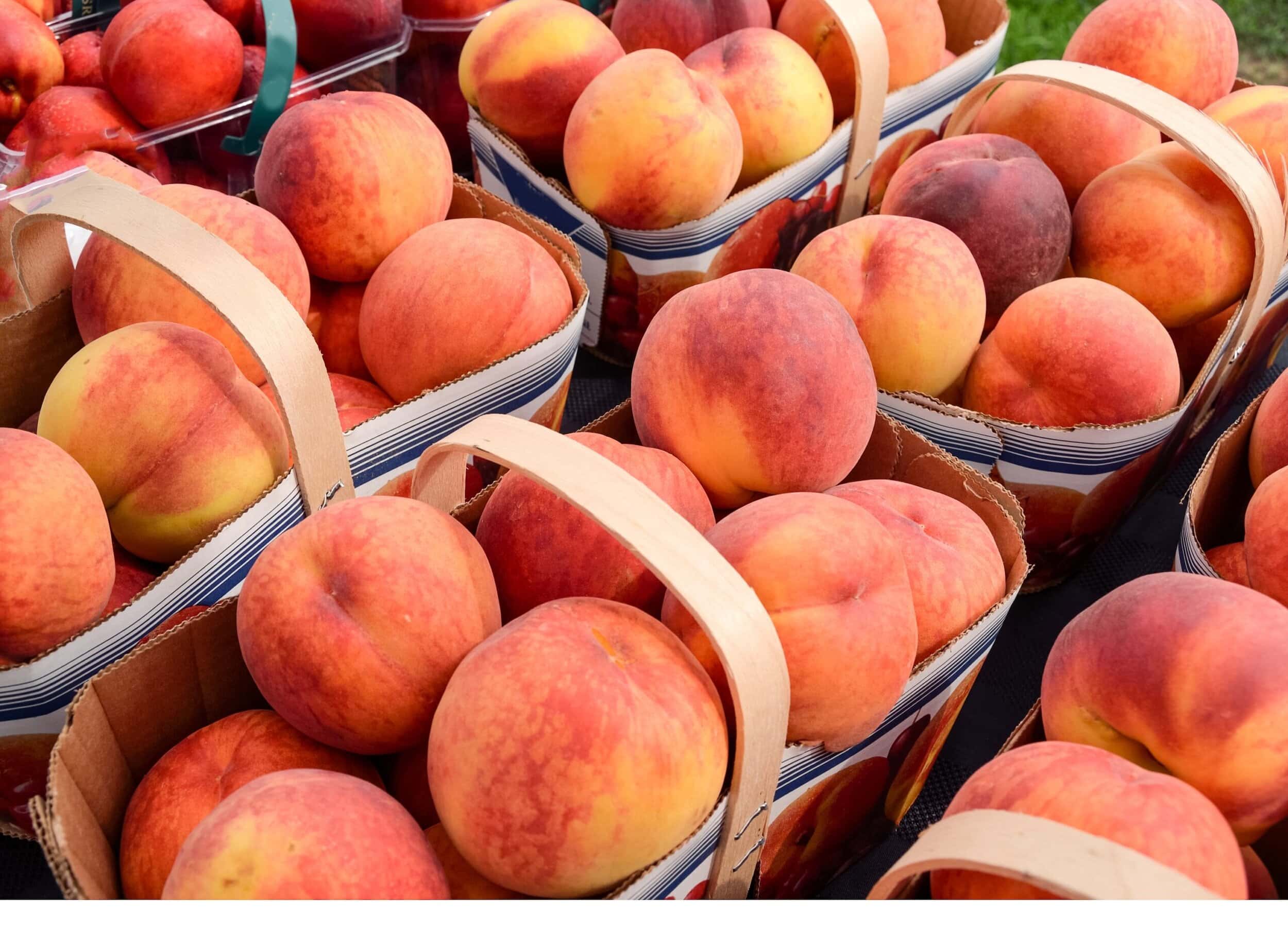 3 healthy, delicious recipes for late-summer produce