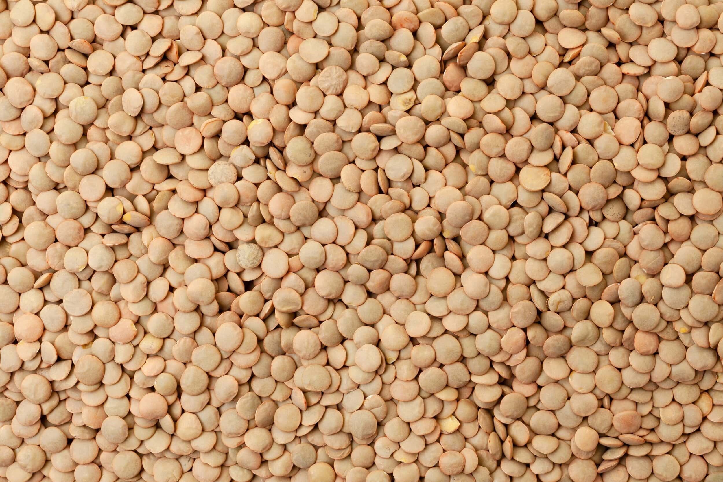 Are lentils good for weight loss? The protein & fiber duo that keeps you full